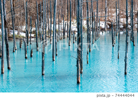 北海道 壁紙 美瑛 青い池の写真素材