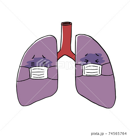 肺のイラスト素材