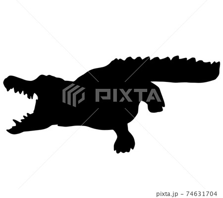 ワニのイラスト素材集 Pixta ピクスタ