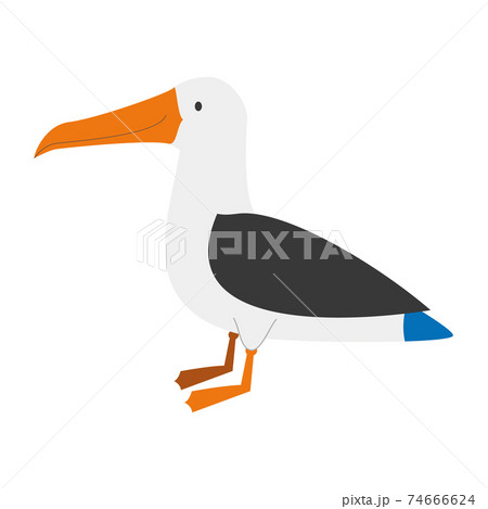 アホウドリのイラスト素材