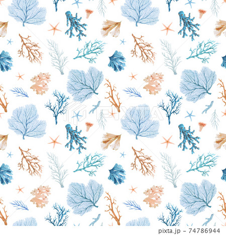 海 マリン おしゃれ イラストの写真素材