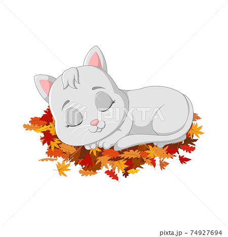 猫 眠り猫 イラスト 動物のイラスト素材