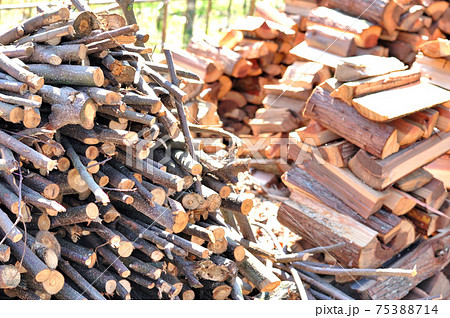 薪 木々 木 廃材の写真素材