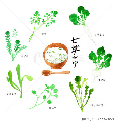 七草 七草粥のイラスト素材集 ピクスタ