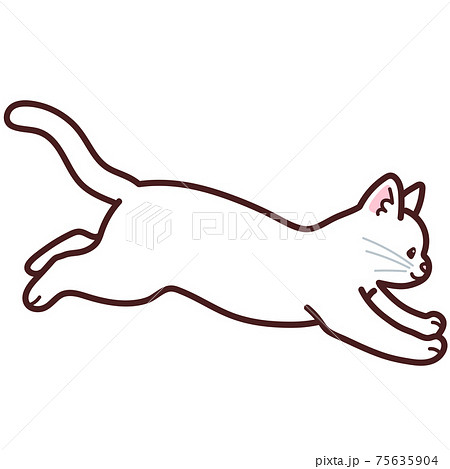 動物 動物 猫 走るのイラスト素材