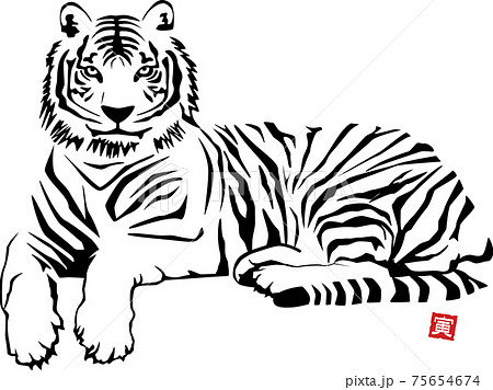 白虎のイラスト素材