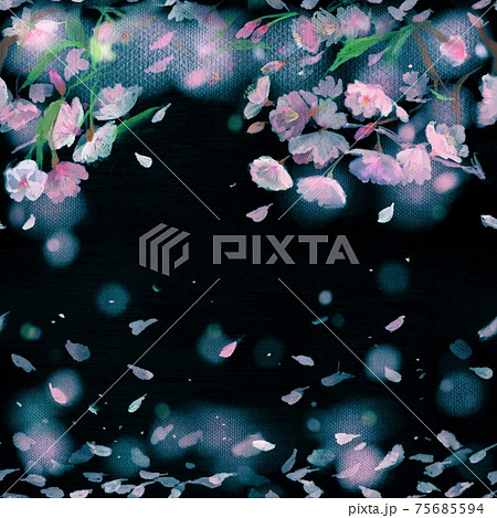 桜 花見 幻想的 輝きのイラスト素材