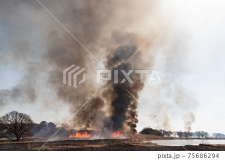 山火事消火の写真素材