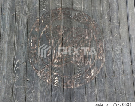 丸に違い柏の写真素材