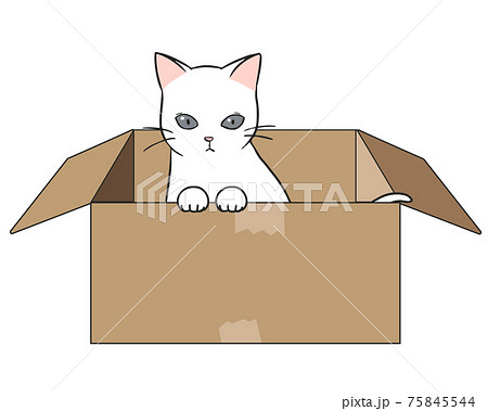 動物 猫 箱 段ボール箱のイラスト素材