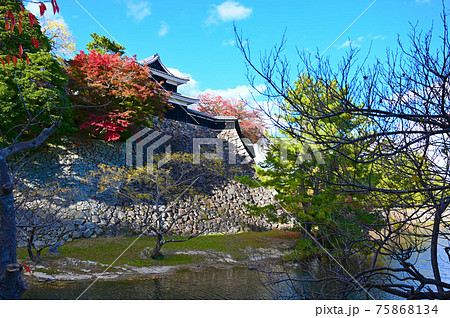 松江城 紅葉 秋 天守閣の写真素材