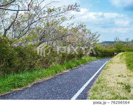 印旛沼サイクリングロードの写真素材