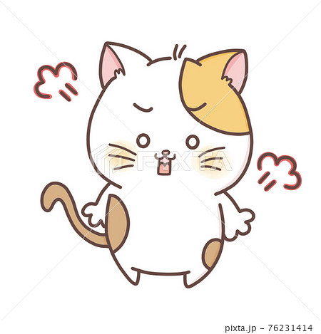 三毛猫 怒りの表情のイラスト素材