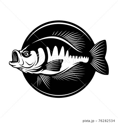 Salmon Fish and Fishing Rod - Fishing Logo. Template Club Emblem