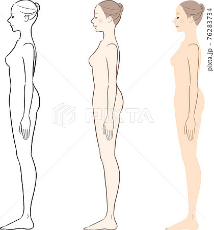 女性 体型 体 横向きのイラスト素材