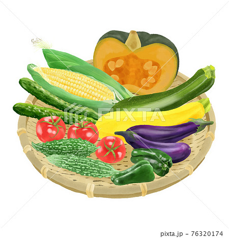 とうもろこしのイラスト素材集 ピクスタ