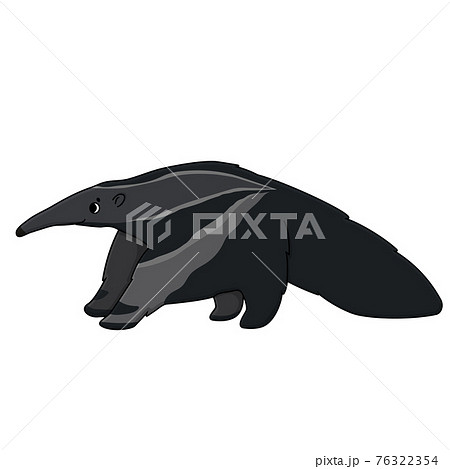 クマタンのイラスト素材