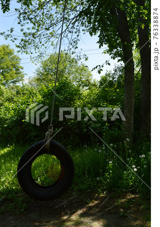 タイヤ ブランコ 古タイヤ 屋外の写真素材
