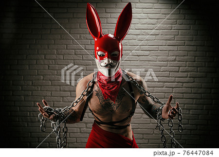 筋肉ウサギの写真素材