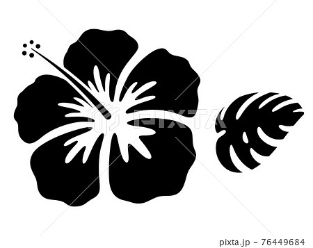 花 ハイビスカス 白黒 ハワイのイラスト素材