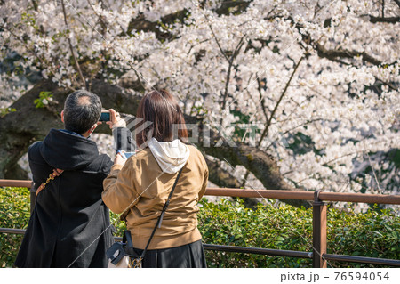 男女 染井吉野 千鳥ヶ淵 人物の写真素材