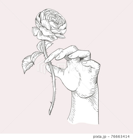 花 バラ 白黒 薔薇のイラスト素材