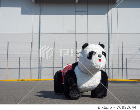 パンダ 乗り物 遊園地の写真素材