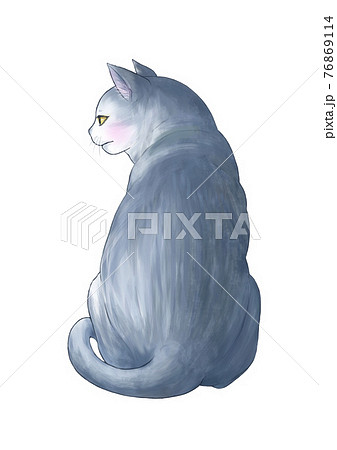 猫 横顔のイラスト素材