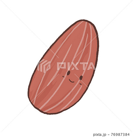 生アーモンドプードルの写真素材