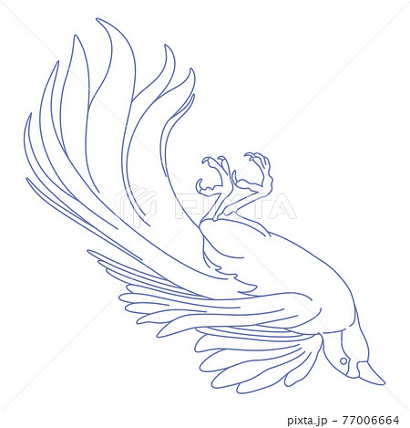 風鳥座