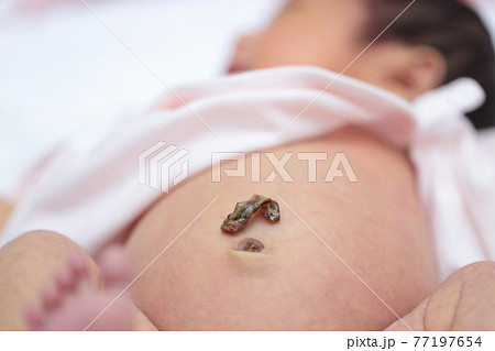 赤ちゃん 子ども 新生児 お腹の写真素材