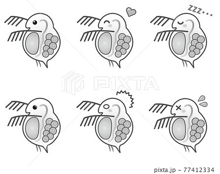 ミジンコのイラスト素材