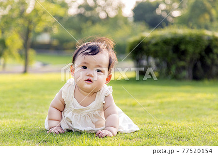 幼女 幼児 女の子 正面の写真素材