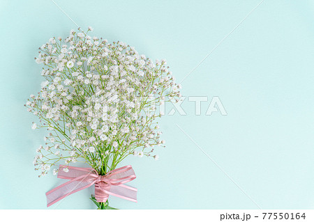 カスミソウ 背景の写真素材