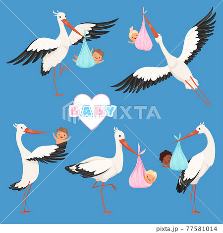 赤ちゃん 運ぶ コウノトリ 鳥のイラスト素材