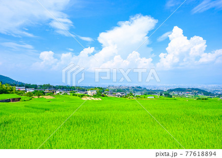 田舎の夏 田舎の風景 入道雲 ノスタルジックの写真素材