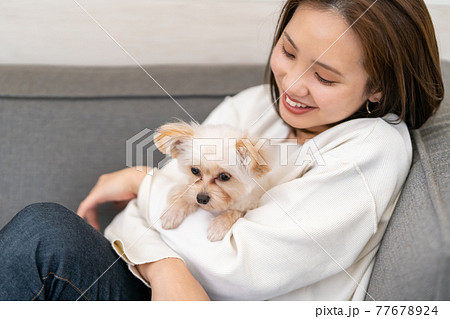 子犬 可愛い子犬 の写真素材集 ピクスタ