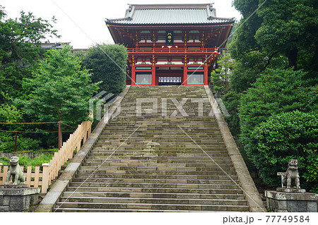 鶴岡八幡宮 階段の写真素材