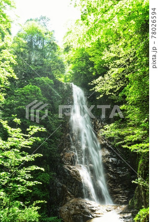水かさの写真素材