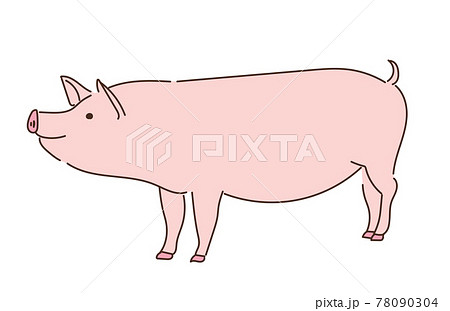 豚のイラスト素材一覧 選べる豊富な素材バリエーション