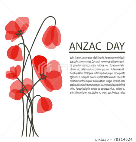 追悼 花のイラスト素材