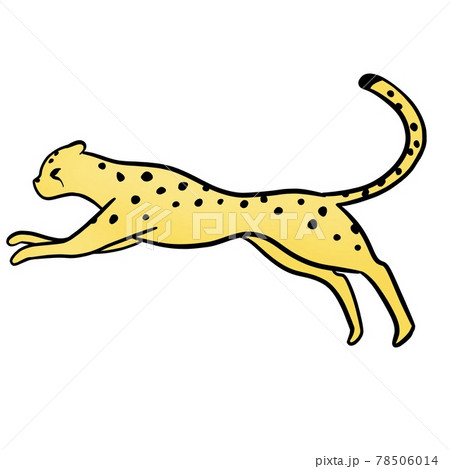 チーター 動物 哺乳類 可愛いのイラスト素材