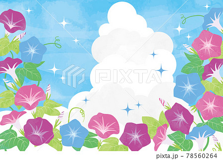 朝顔 花 夏 植物のイラスト素材