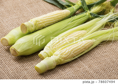 ベビーコーンの写真素材