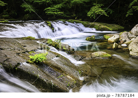 綺麗な川の写真素材