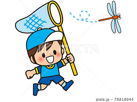 昆虫採集のイラスト素材