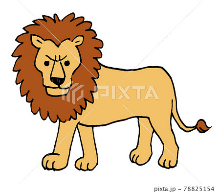 動物 かわいい イラスト ライオンのイラスト素材