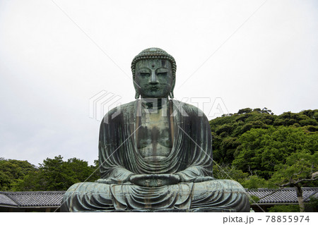 鎌倉大仏殿の写真素材