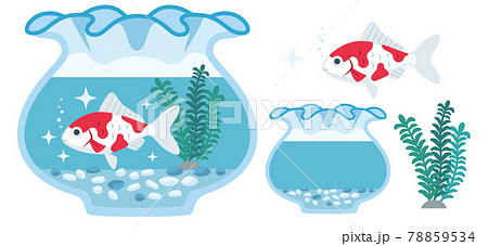 金魚 金魚鉢 かわいい 魚のイラスト素材