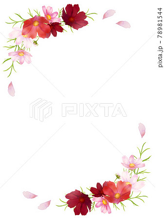 秋の花のイラスト素材集 ピクスタ